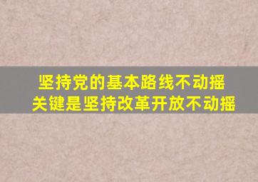 坚持党的基本路线不动摇 关键是坚持改革开放不动摇